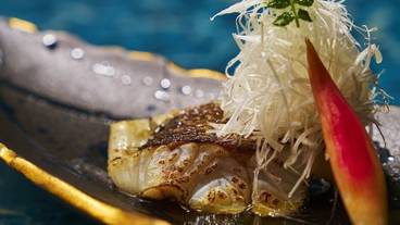 食事・飲み物 / 23