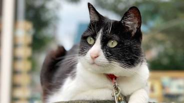 施設内の設備 / 9