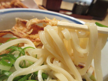 「能古うどん製造所 キャナルシティ店」 料理 36192973 