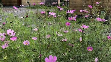 施設の敷地 / 11