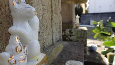 施設の敷地 / 20