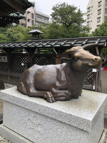 勉強中の方におすすめ。学問の神様を祀るパワースポット2342170