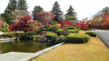庭園 / 36