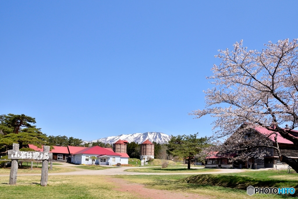 一足延ばして「小岩井農場」2015492