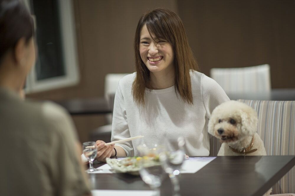 愛犬と一緒に楽しむ夕食