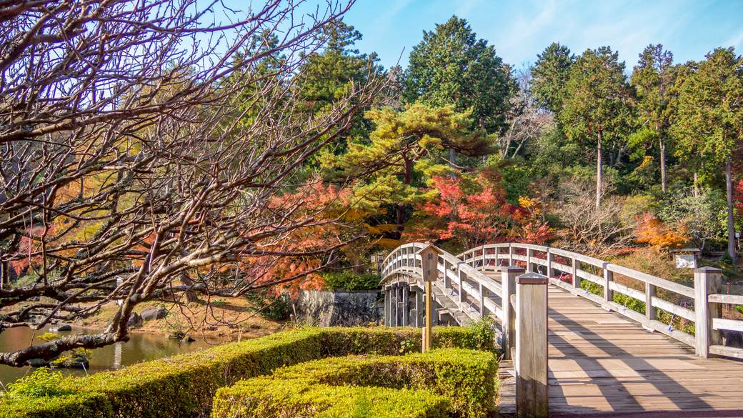 「修善寺 虹の郷」で
のびのびと散策を / 1