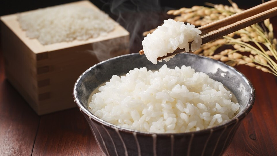 朝食ビュッフェ キヌヒカリ