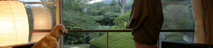 愛犬との旅なら伊豆旅行！ペットと泊まれる宿＆観光スポット