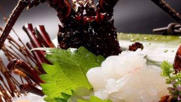 食事・飲み物 / 22