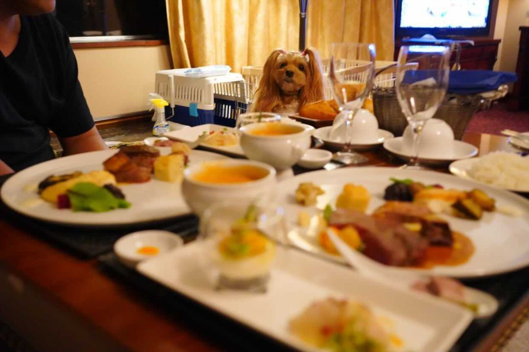 ruriribさんの写真 / 2