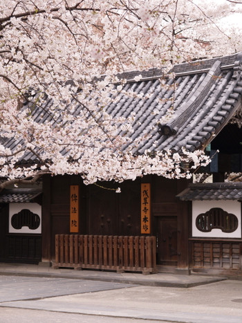 浅草寺の本坊「伝法院」1464588