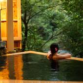 山中温泉 自噴源泉の宿 花つばき（石川県 旅館） / 2