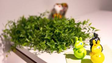 内装の詳細 / 15