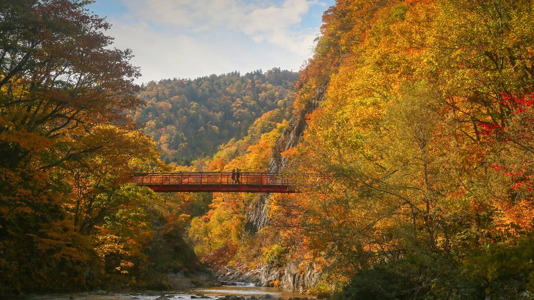 二見吊橋からの眺め 秋 / 2