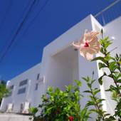 UmiOto ウミオト【女子旅に大人気の宿】(沖縄県 ゲストハウス・ホステル・ドミトリー) / 2