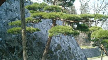 シティ ビュー / 11