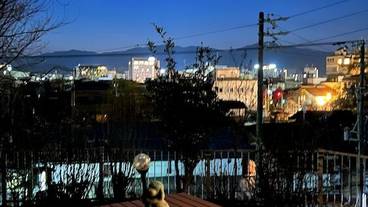 テラス / パティオ / 5