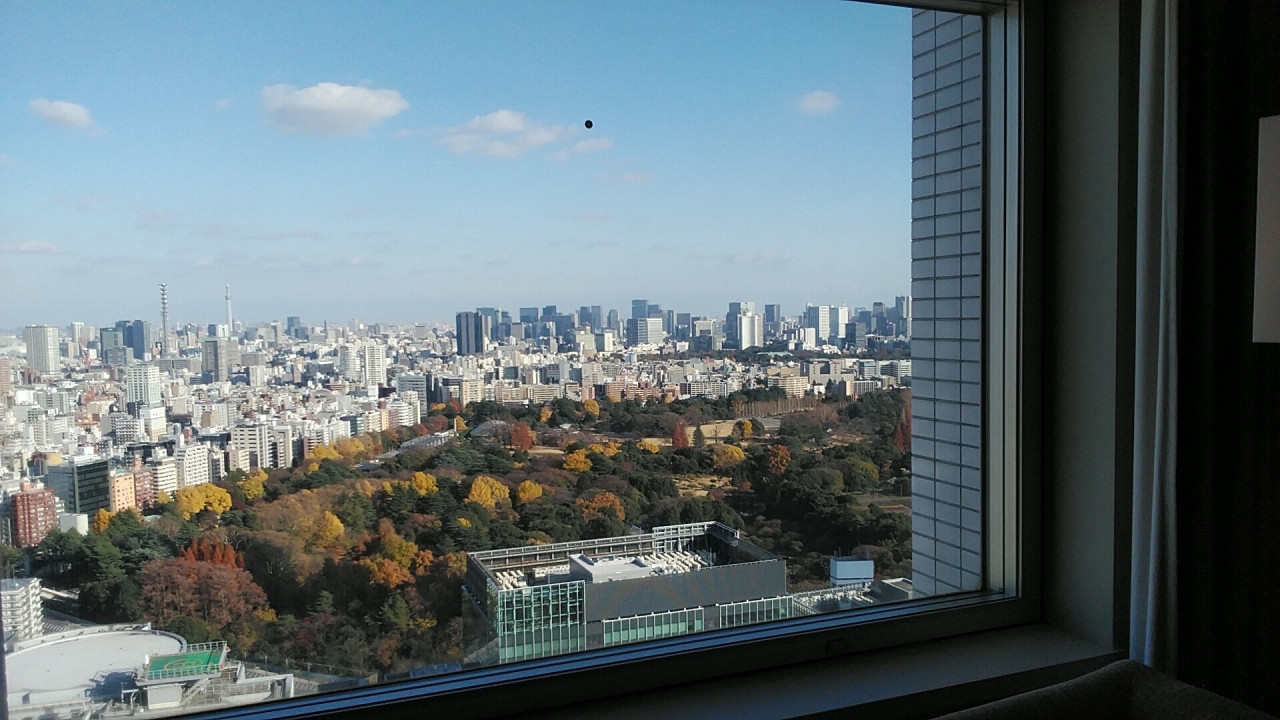 部屋からの新宿御苑