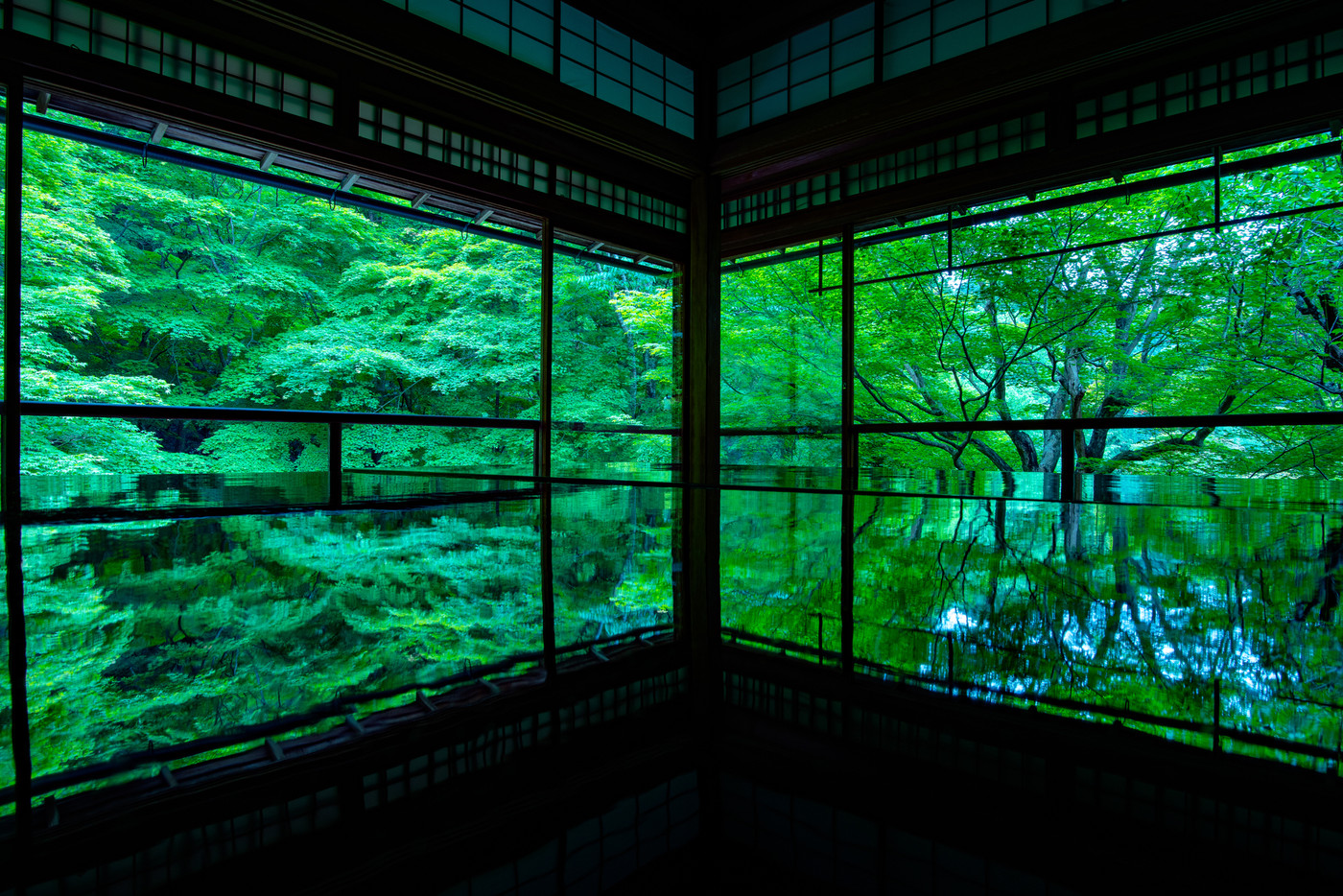 新緑の瑠璃光院