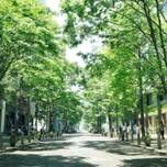 【東京】GWのおでかけに♪感性を磨くのんびり丸の内さんぽ