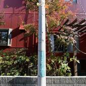 ゲストハウス グレープハウス高円寺 女性専用（東京都 ゲストハウス・ホステル・ドミトリー） / 3