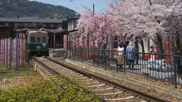 シティ ビュー / 19