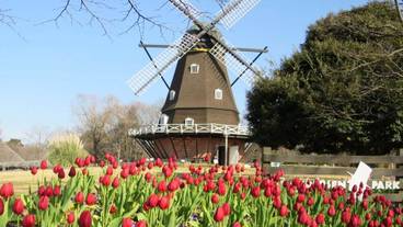 観光スポット / 7