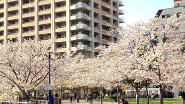 シティ ビュー / 13