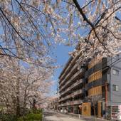 京都リバービューハウス京楽（京都府 ビジネスホテル） / 3