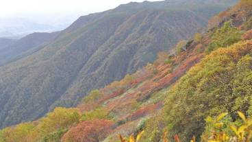 施設からの眺望 / 24