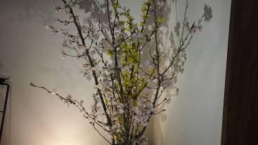 部屋からの景観 / 29