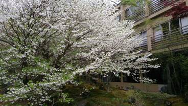 施設の敷地 / 22