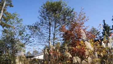 施設の敷地 / 15