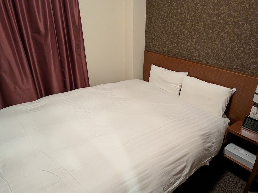 安定のドーミーイン