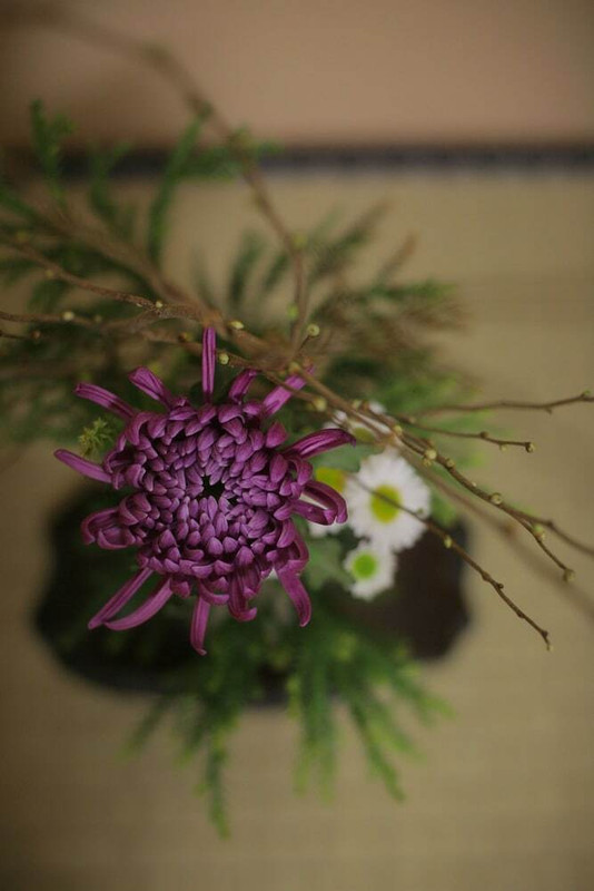 季節の花