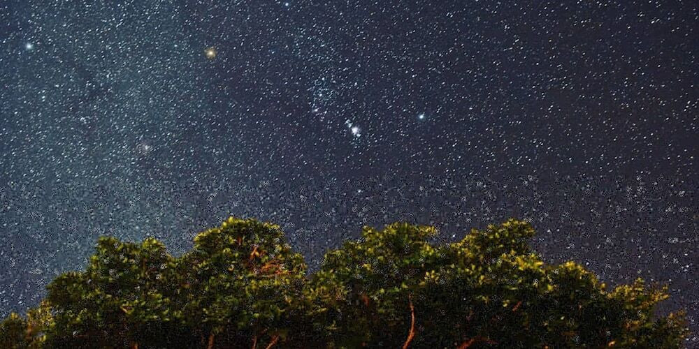 施設からの眺望