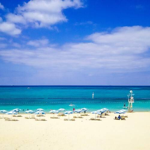 たっぷり食べる為に
朝のビーチをお散歩 / 2