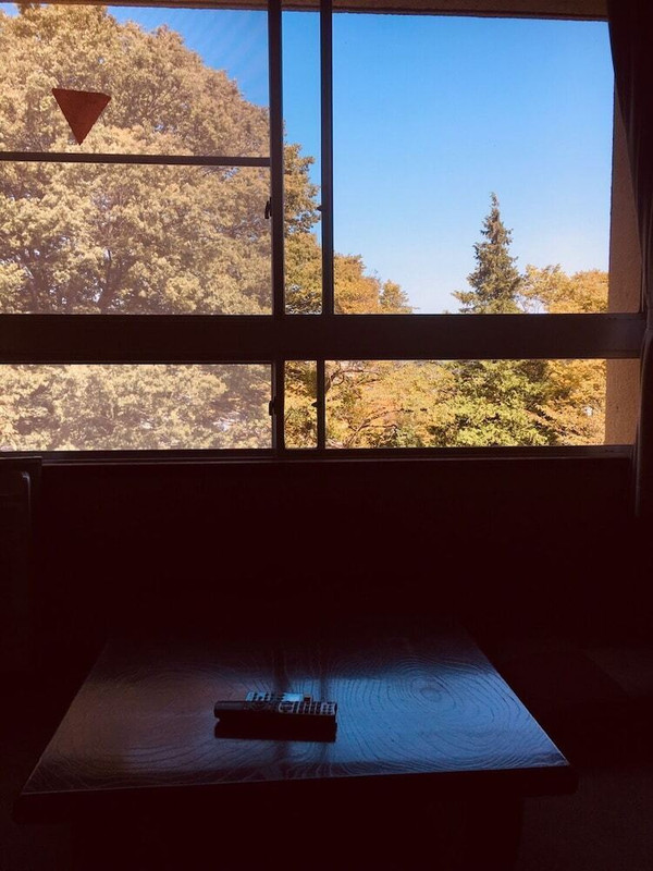 部屋からの景観