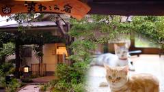 ゆふいん 笑ねこの宿