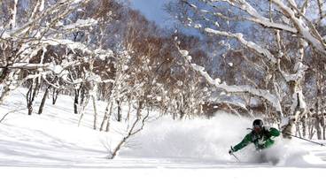 スノー スポーツとスキー / 1