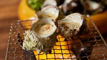 レストラン / 16