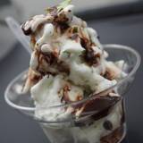 ハウ・トゥリー・ジェラート（ハウトゥリージェラート）