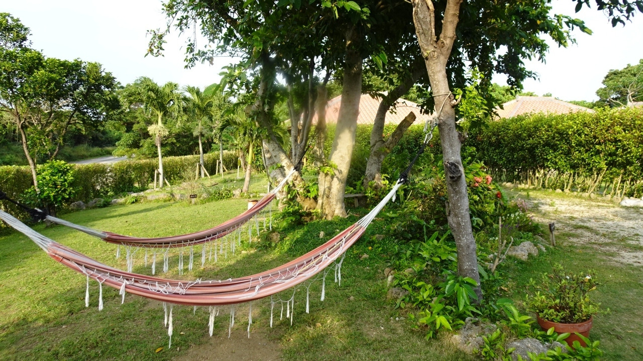 気取らない宿でのんびりと心安らぐピースフルな休日3411267