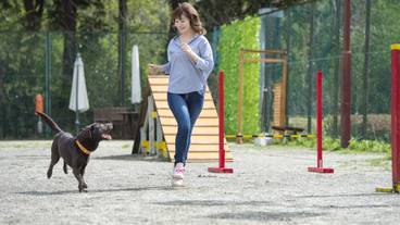 ペット用設備・サービス / 3