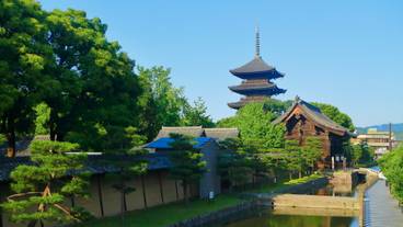 東寺 / 1
