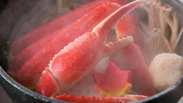 食事・飲み物 / 7