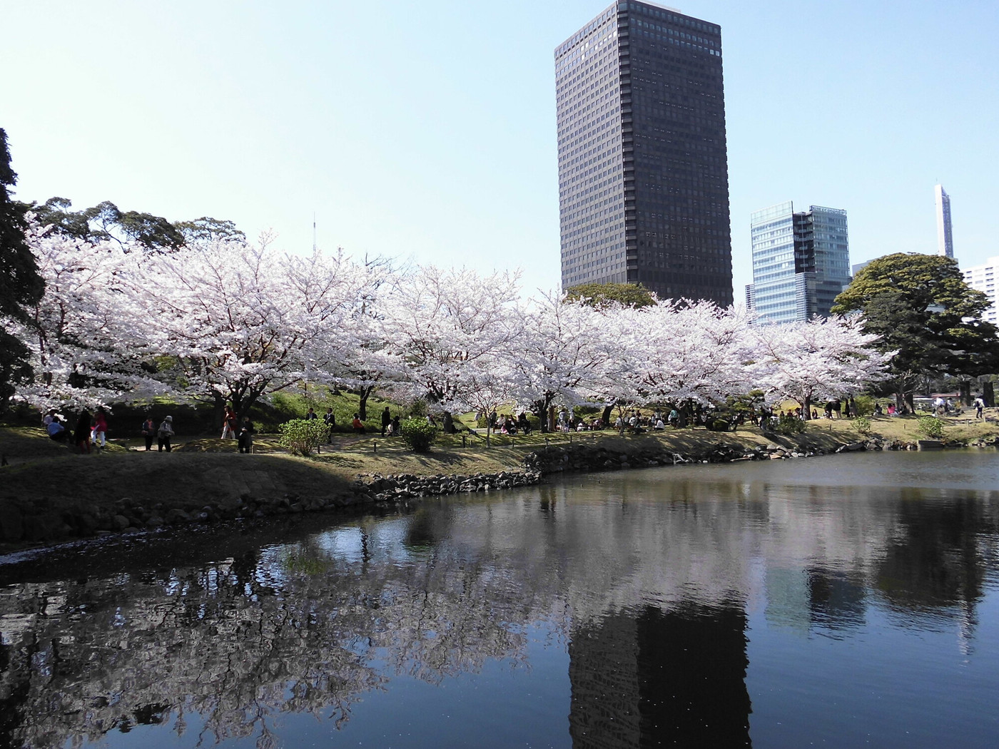 2. 旧芝離宮恩賜庭園(浜松町)1558814