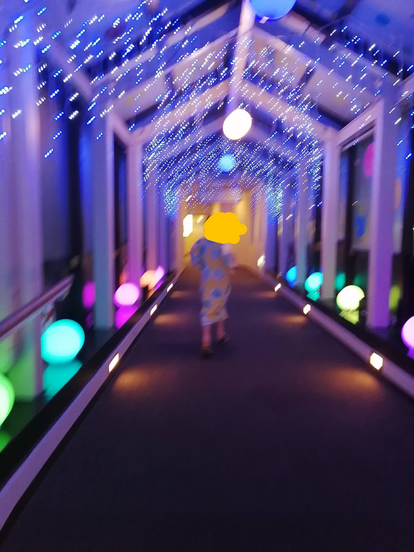 冬はずっとクリスマスみたいなイルミネーションです