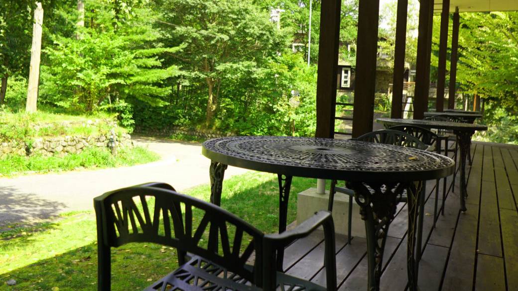 早起きして森林浴
気持ちの良い朝を / 3