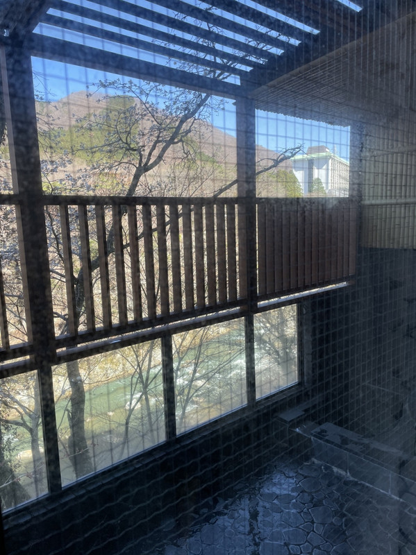 部屋風呂から桜が